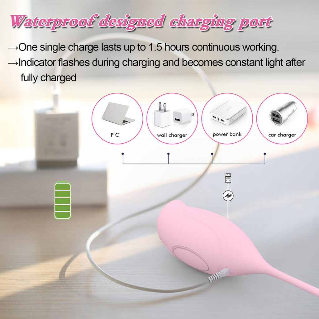 Global App Control Kegel Trainer,Pelvic Floor Exercise Smart Kegel Balls for Women
